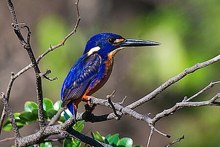 Kakadu National Park5.jpg