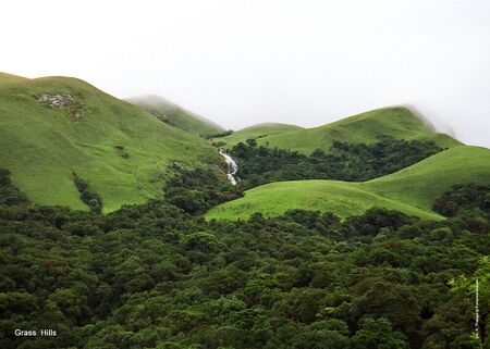 Western Ghats4.jpg
